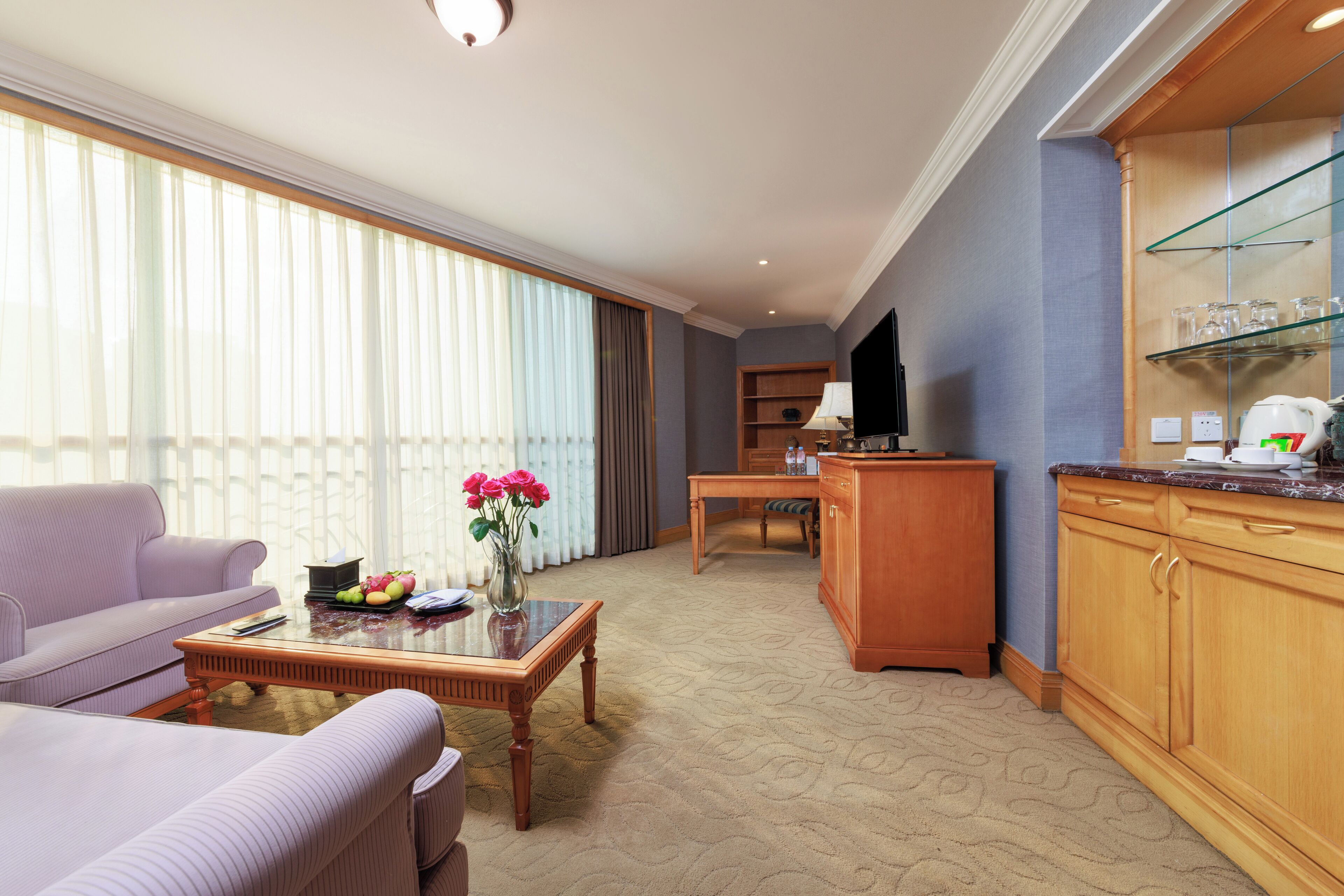 deluxe suite ,1 king bed | living room | 36-inch lcd tv with satellite channels, tv, books