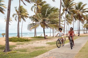 Un camino pavimentado con palmeras y una playa al fondo.
