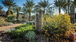 Um jardim no deserto com diversos cactos e plantas floridas, palmeiras e um céu azul límpido.