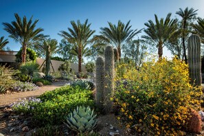 Garden - The Scottsdale Resort and Spa, Curio Collection by Hilton (Scottsdale)