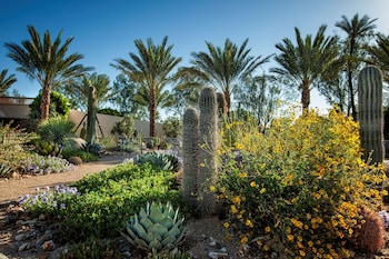 Garden at The Scottsdale Resort and Spa, Curio Collection by Hilton