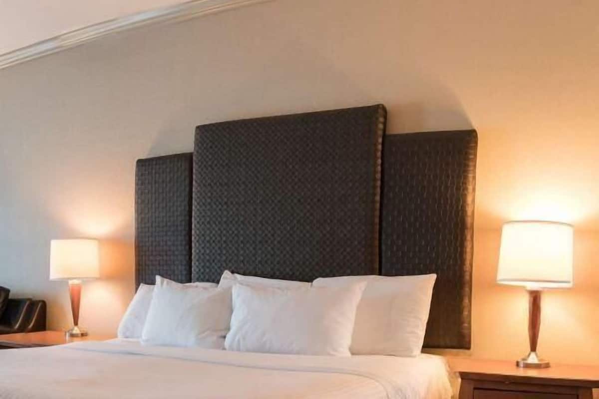 In-room safe, laptop workspace, iron/ironing board, free WiFi