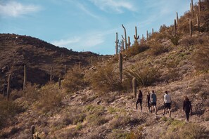 Hiking