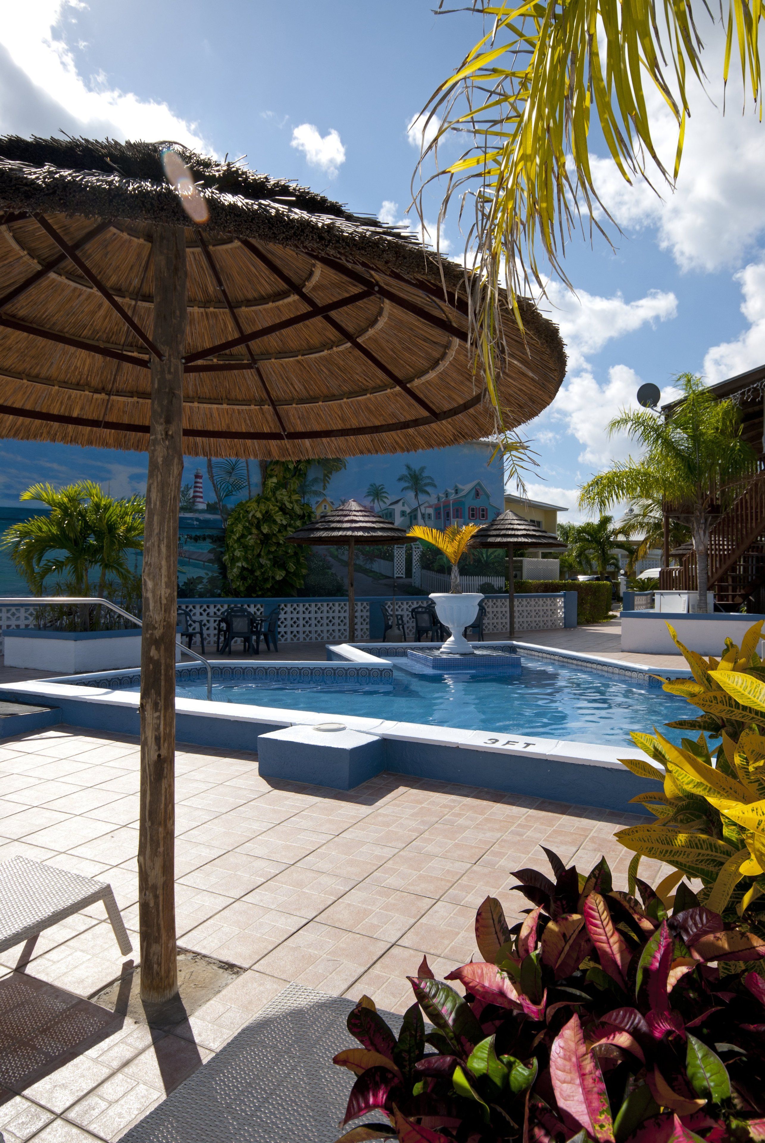 Un espace piscine agrémenté d’un parasol en chaume, de chaises longues et de plantes tropicales.