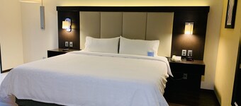 Holiday Inn Express Mexico Basilica by IHG