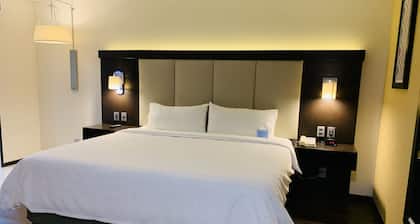 Holiday Inn Express Mexico Basilica by IHG