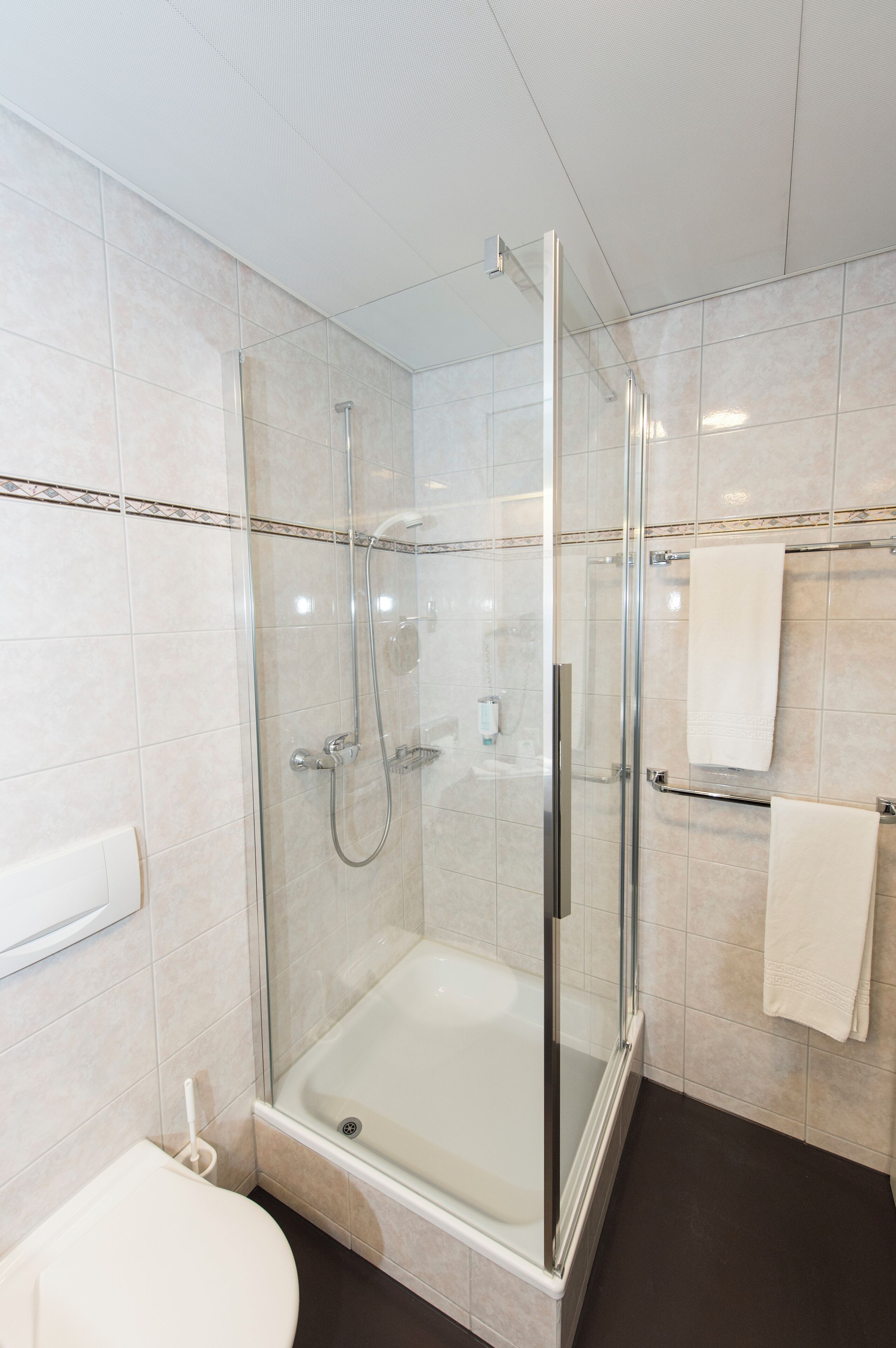 A modern bathroom with a glass-enclosed shower, a toilet, and a towel rack.