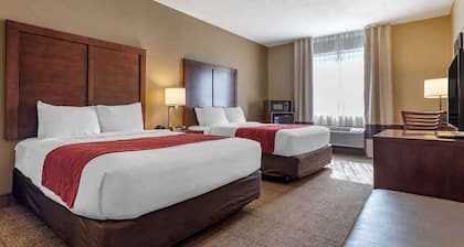 Comfort Inn Amite City