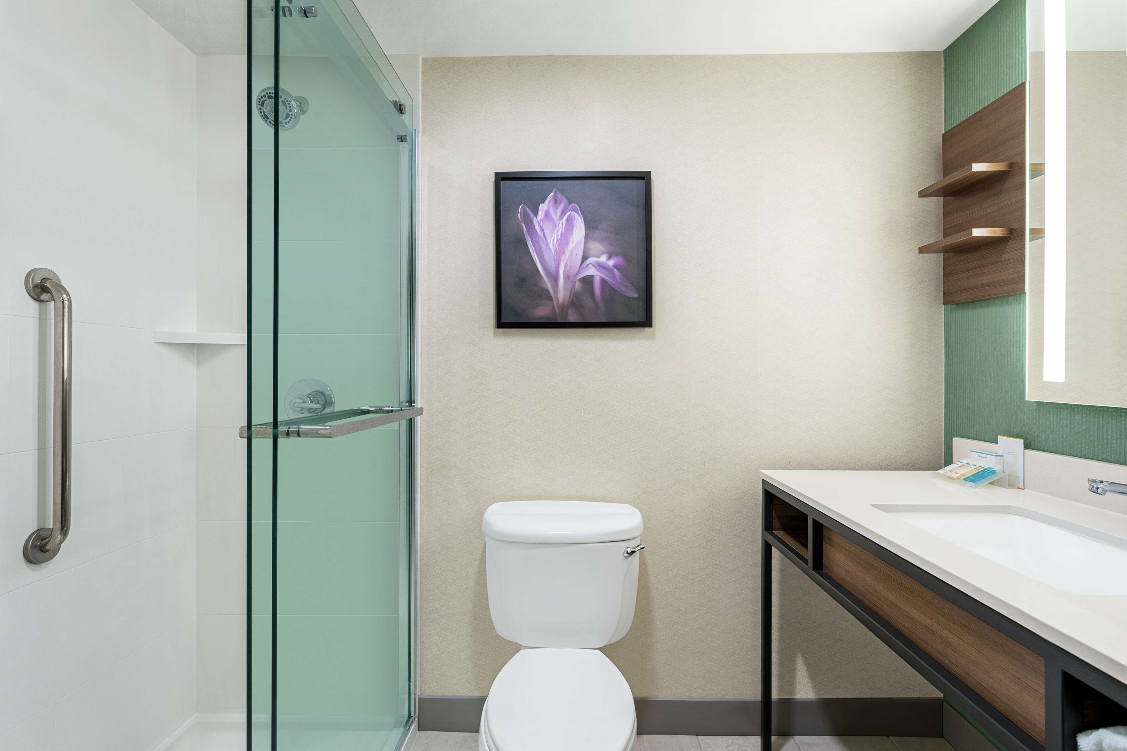 combined shower/bathtub, free toiletries, hair dryer, towels