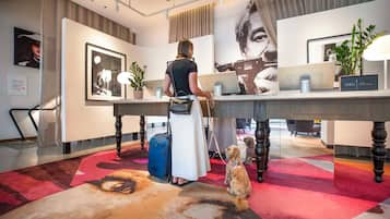 A hotel lobby with a reception desk, framed artwork on the walls, a potted plant, and a carpeted floor.