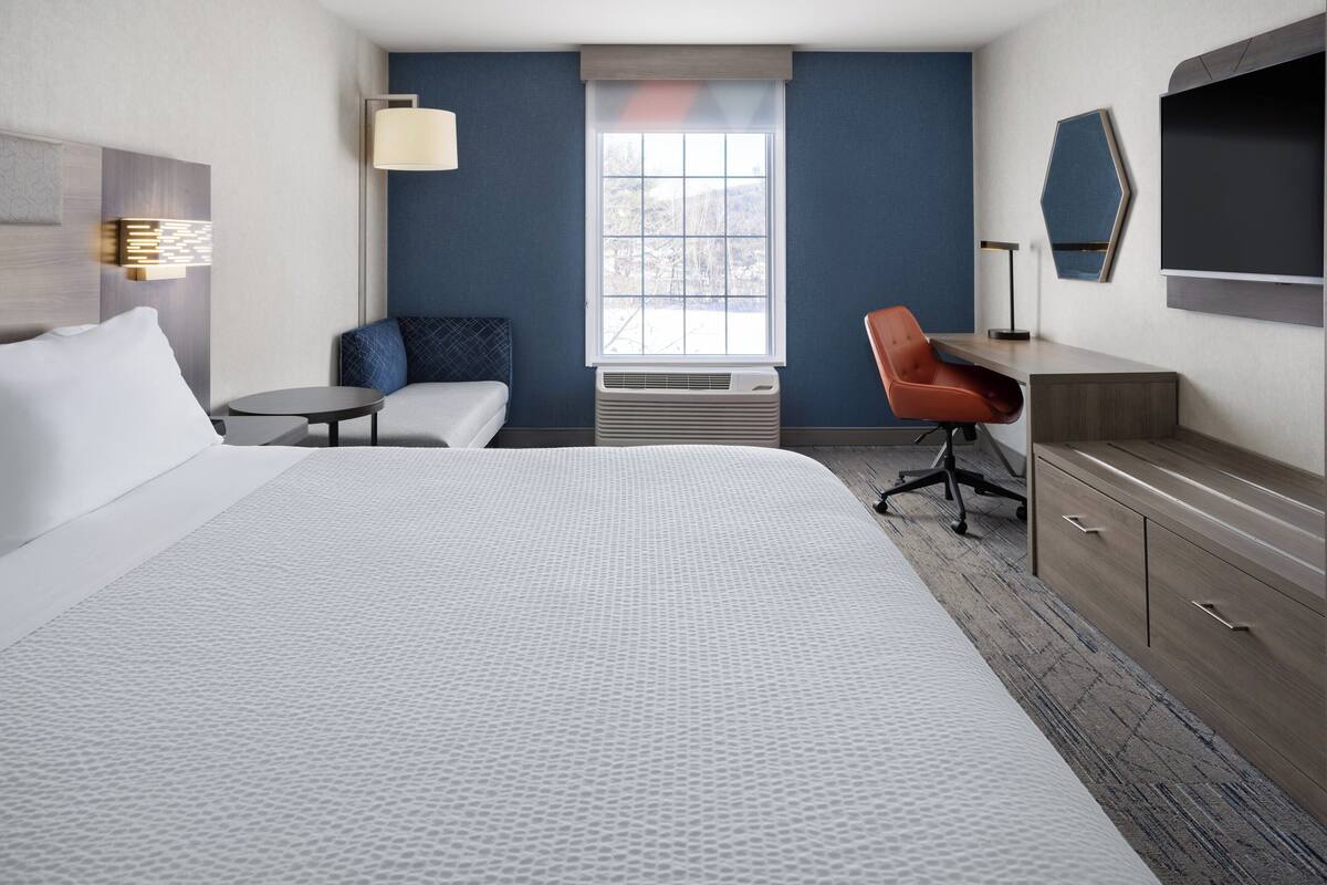 A hotel room with a large bed, a desk, a chair, a sofa, a lamp, a TV, and a window with a view of trees.