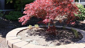 Un bâtiment doté de nombreuses fenêtres et d’un jardin aménagé avec un arbre aux feuilles rouges.