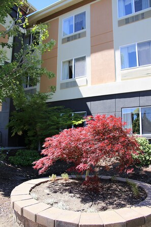 A building with multiple windows and a landscaped garden with a red-leafed tree. - Holiday Inn Express & Suites Ashland by IHG (Ashland)
