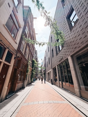 A narrow urban street with brick buildings, a paved walkway, and hanging greenery.