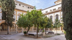 A courtyard with a bench, trees, and a building with arched windows and columns.