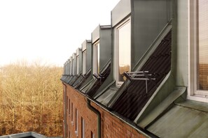 A row of residential buildings with sloped roofs and multiple windows.