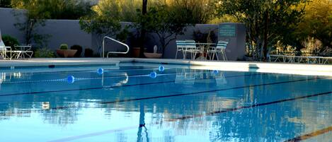 A swimming pool with clear lanes, surrounded by lounge chairs and potted plants.