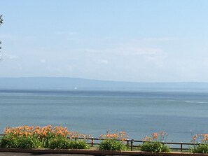 Vista desde la habitación