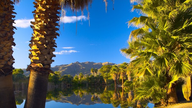 A serene landscape with a clear sky, palm trees, and a calm body of water reflecting the surroundings. - Raintree's Cimarron Golf Resort (Cathedral City)