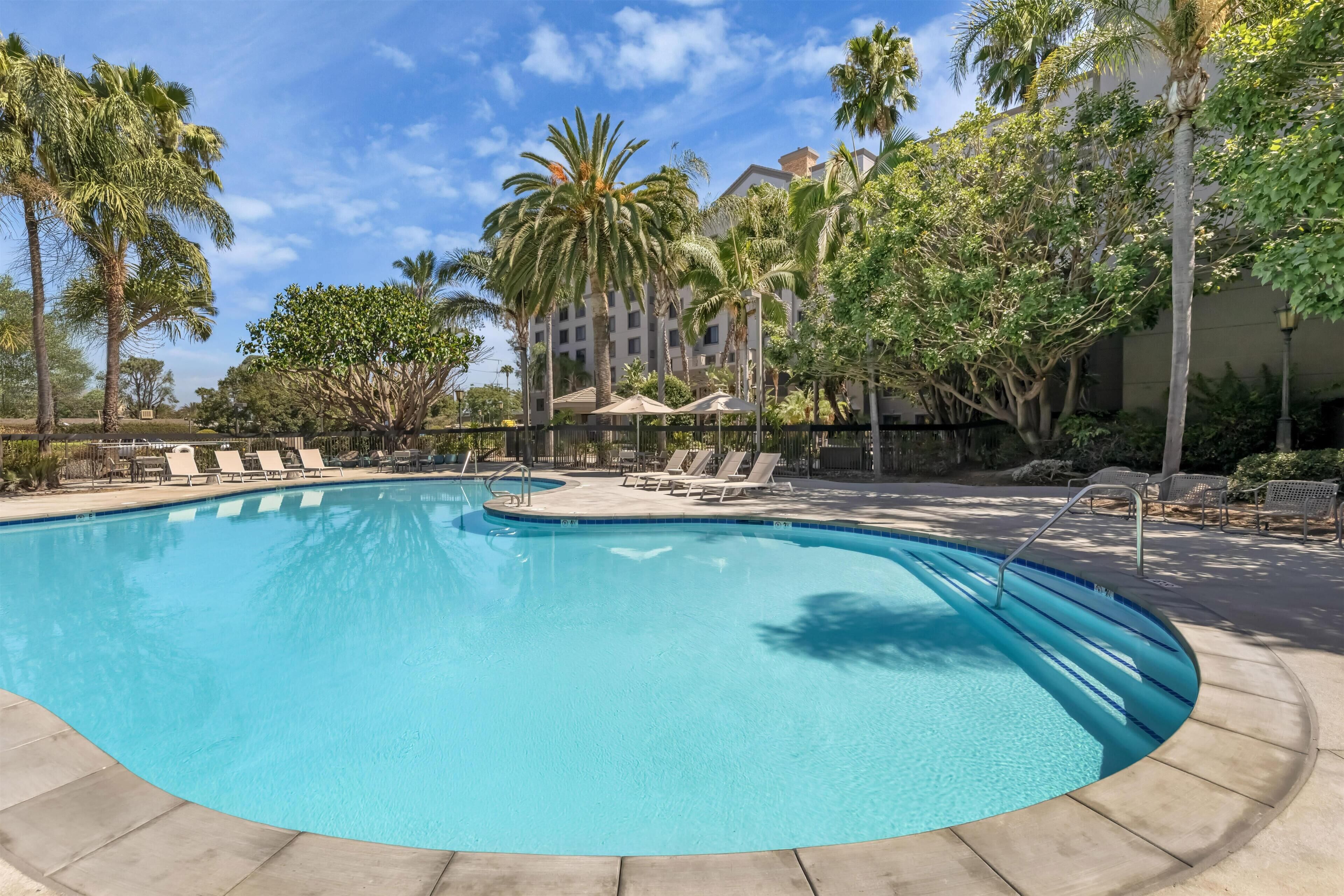 Outdoor pool, sun loungers