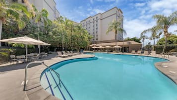 Outdoor pool, sun loungers