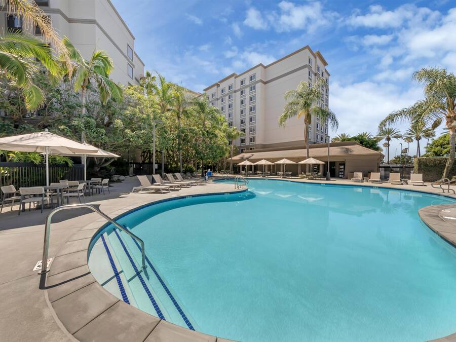 Outdoor pool, sun loungers