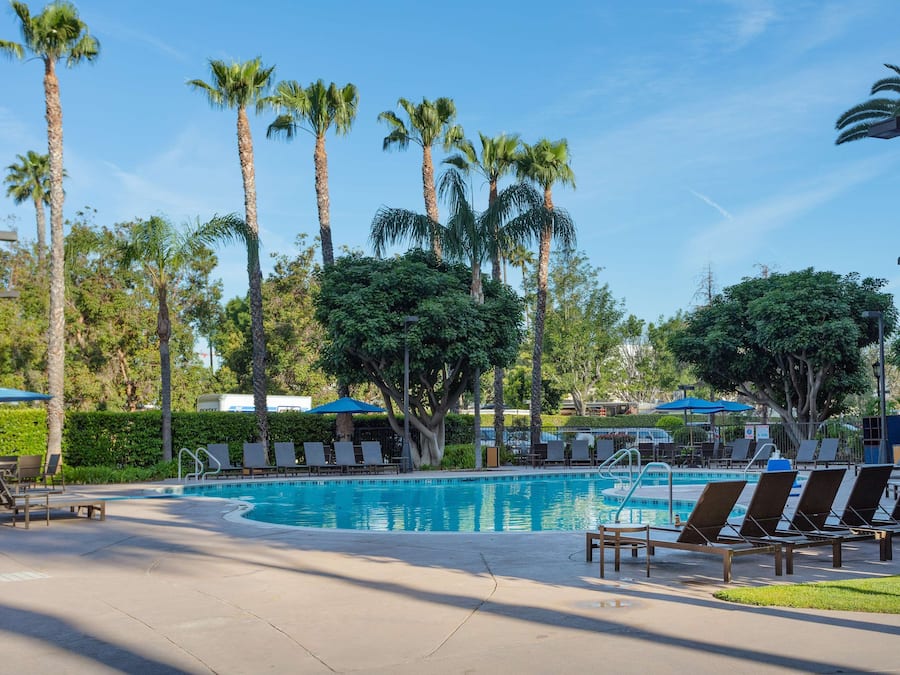 Outdoor pool, sun loungers