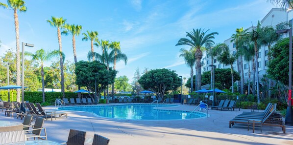 Outdoor pool, sun loungers