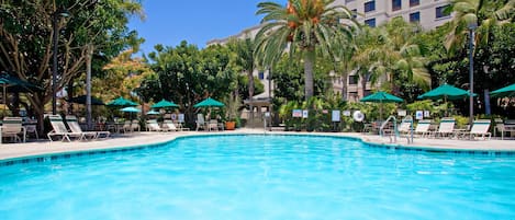 Outdoor pool, sun loungers