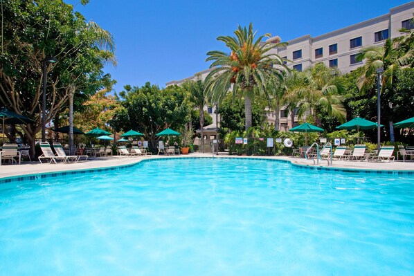 Outdoor pool, sun loungers