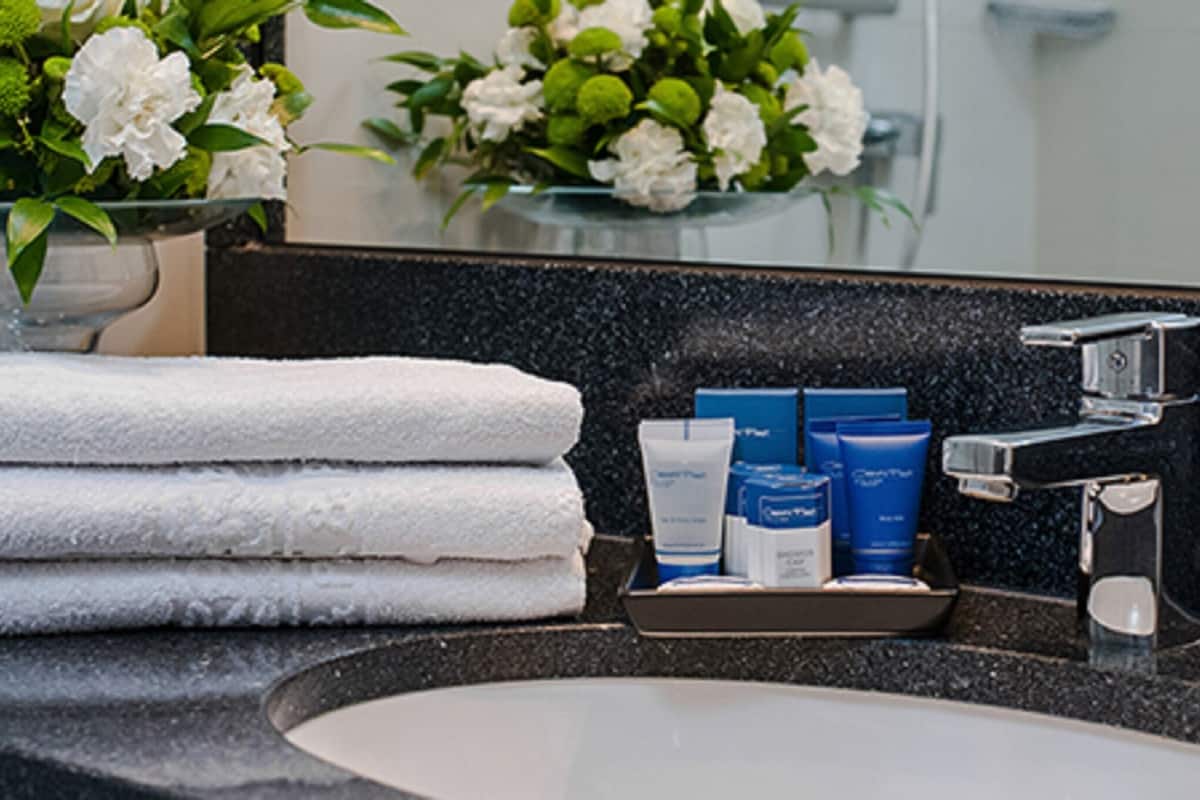 shower, designer toiletries, hair dryer, slippers