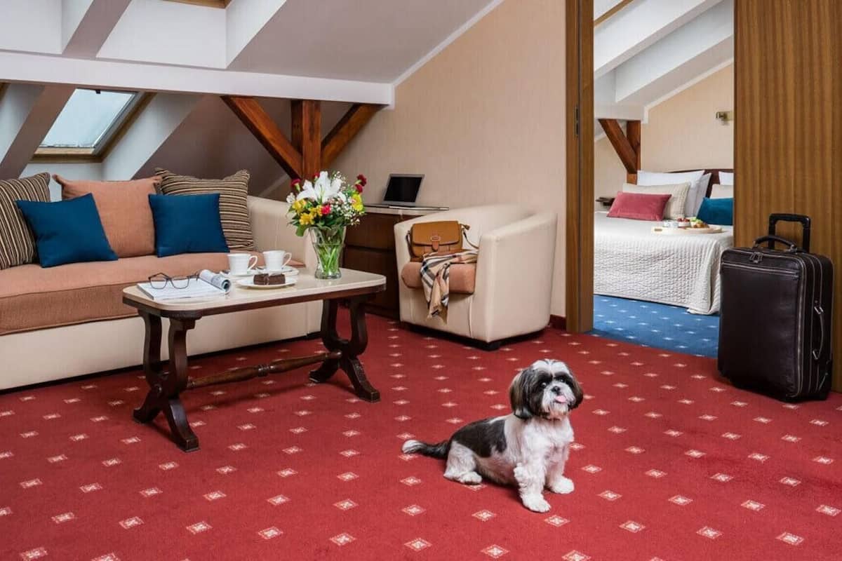 Hypo-allergenic bedding, in-room safe, desk, laptop workspace
