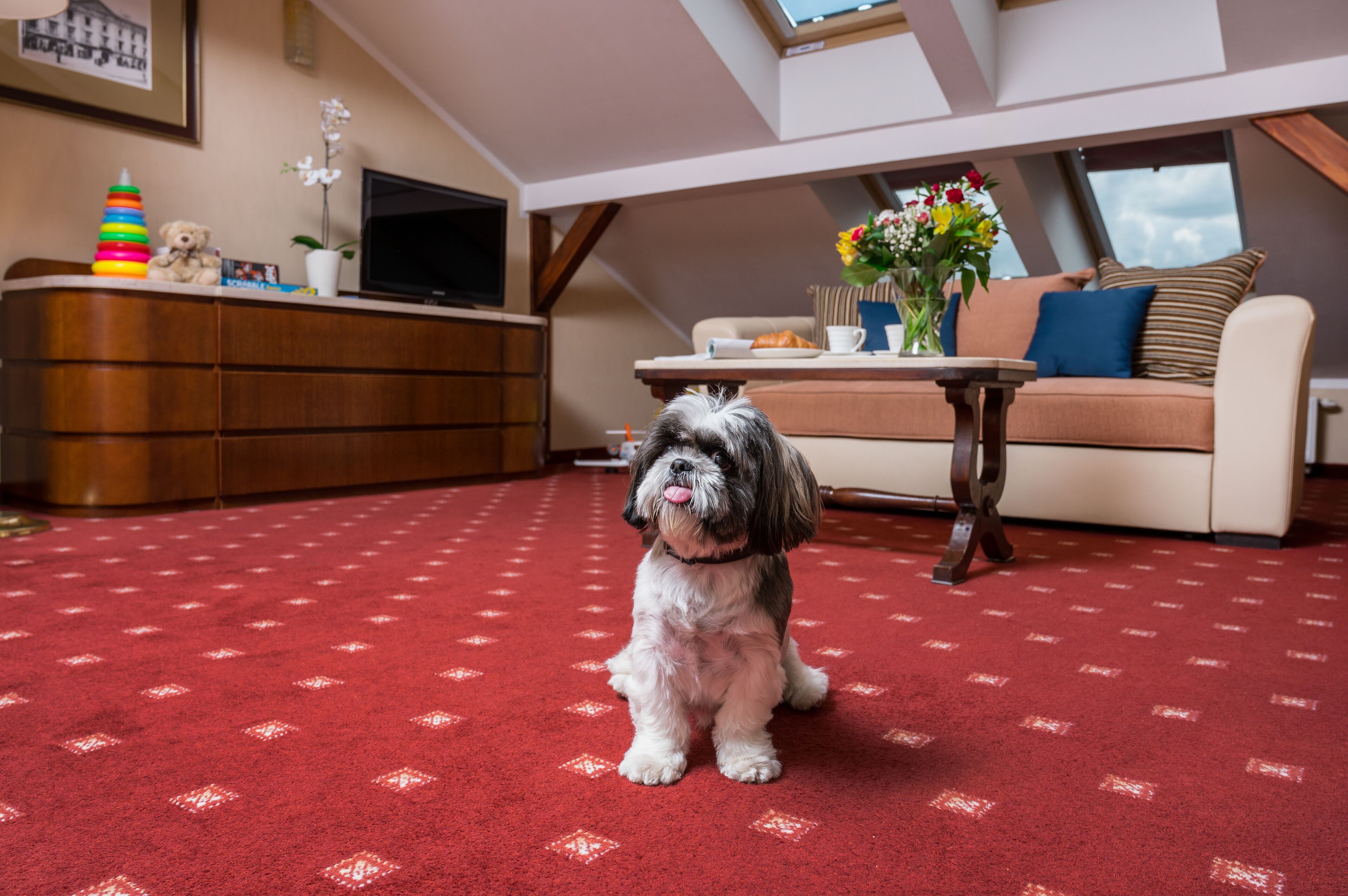 family suite | 2 bedrooms, hypo-allergenic bedding, in-room safe, desk