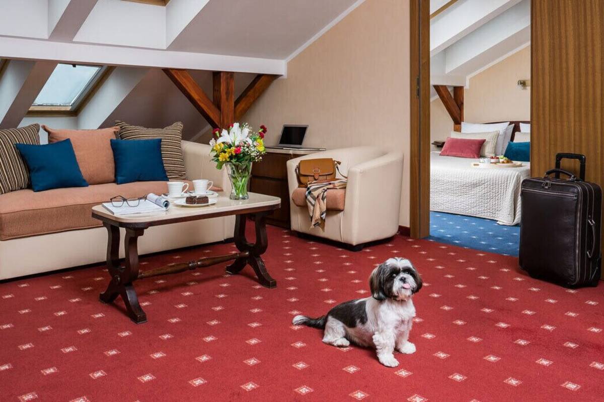 Una habitación acogedora con un sofá, una mesita con un florero, un perro y una maleta.