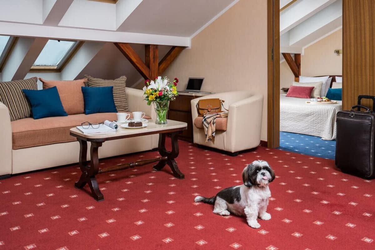 Family Apartment | Living area | Flat-screen TV