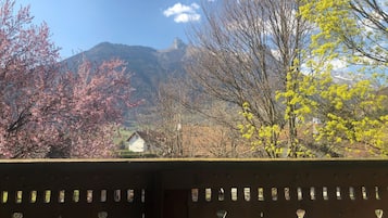 Standard Double Room | Balcony