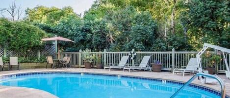 Outdoor pool, pool umbrellas, pool loungers