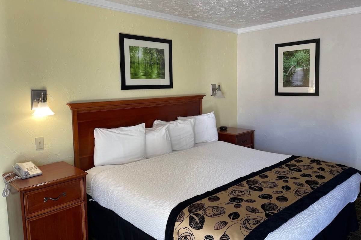 Blackout curtains, iron/ironing board, free WiFi, bed sheets