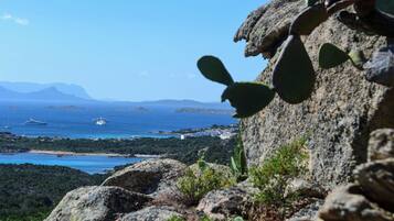 A coastal landscape with rocky terrain, cacti, and a distant view of the sea with ships.