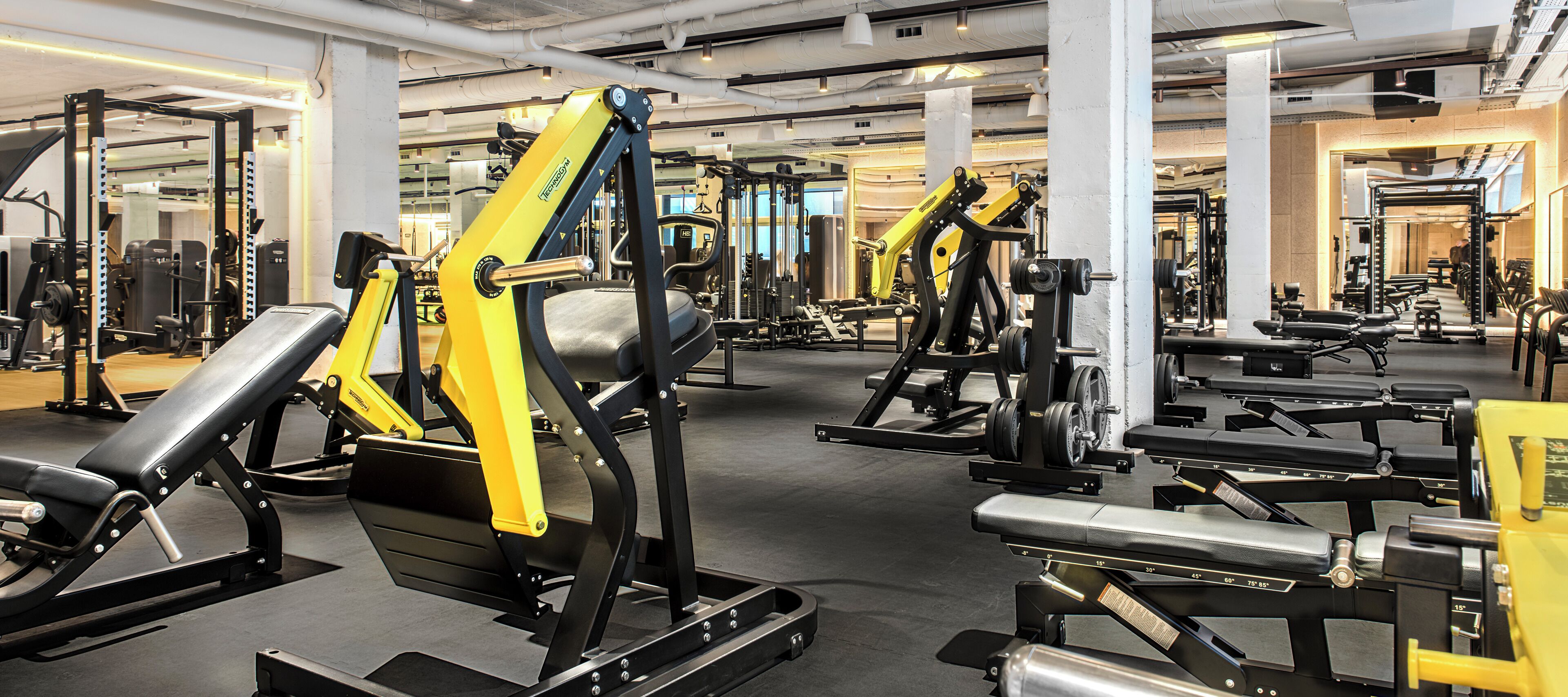 Un gimnasio con diversos equipos de ejercicio, incluyendo máquinas de pesas y pesas libres.