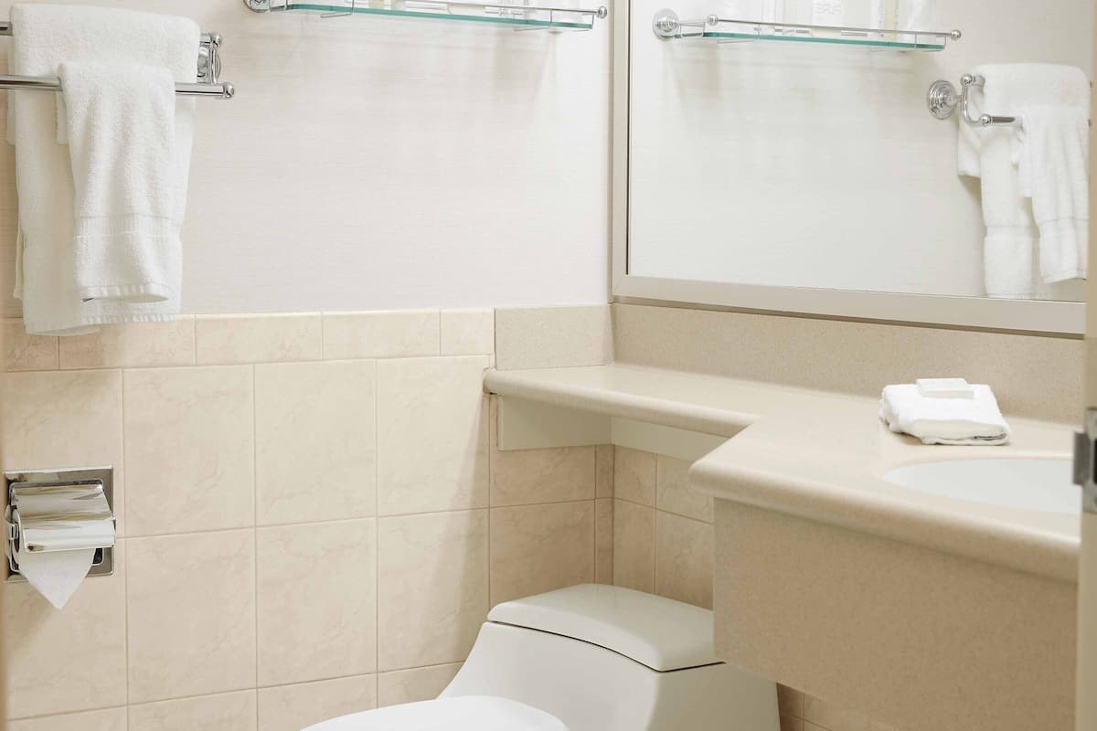 suite (double) | bathroom | combined shower/bathtub, designer toiletries, hair dryer, towels