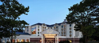 Graduate by Hilton Storrs