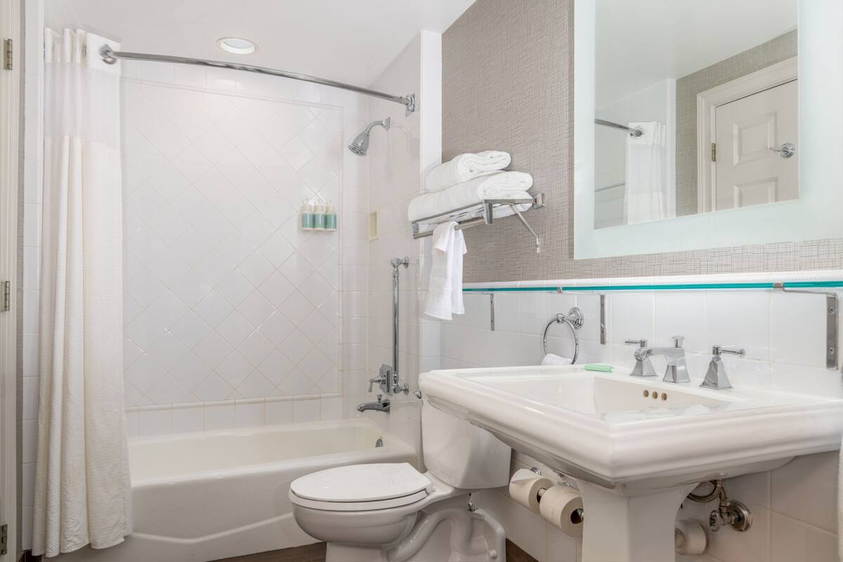 combined shower/bathtub, free toiletries, hair dryer, towels