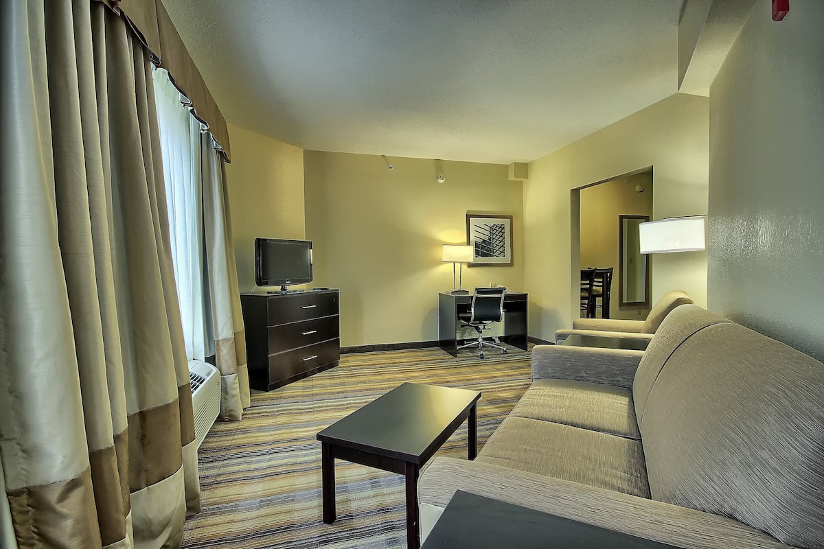 Suite, 1 King-Bett und Schlafsofa | Wohnbereich | 30-Zoll-Flachbildfernseher mit Kabelempfang, Fernseher