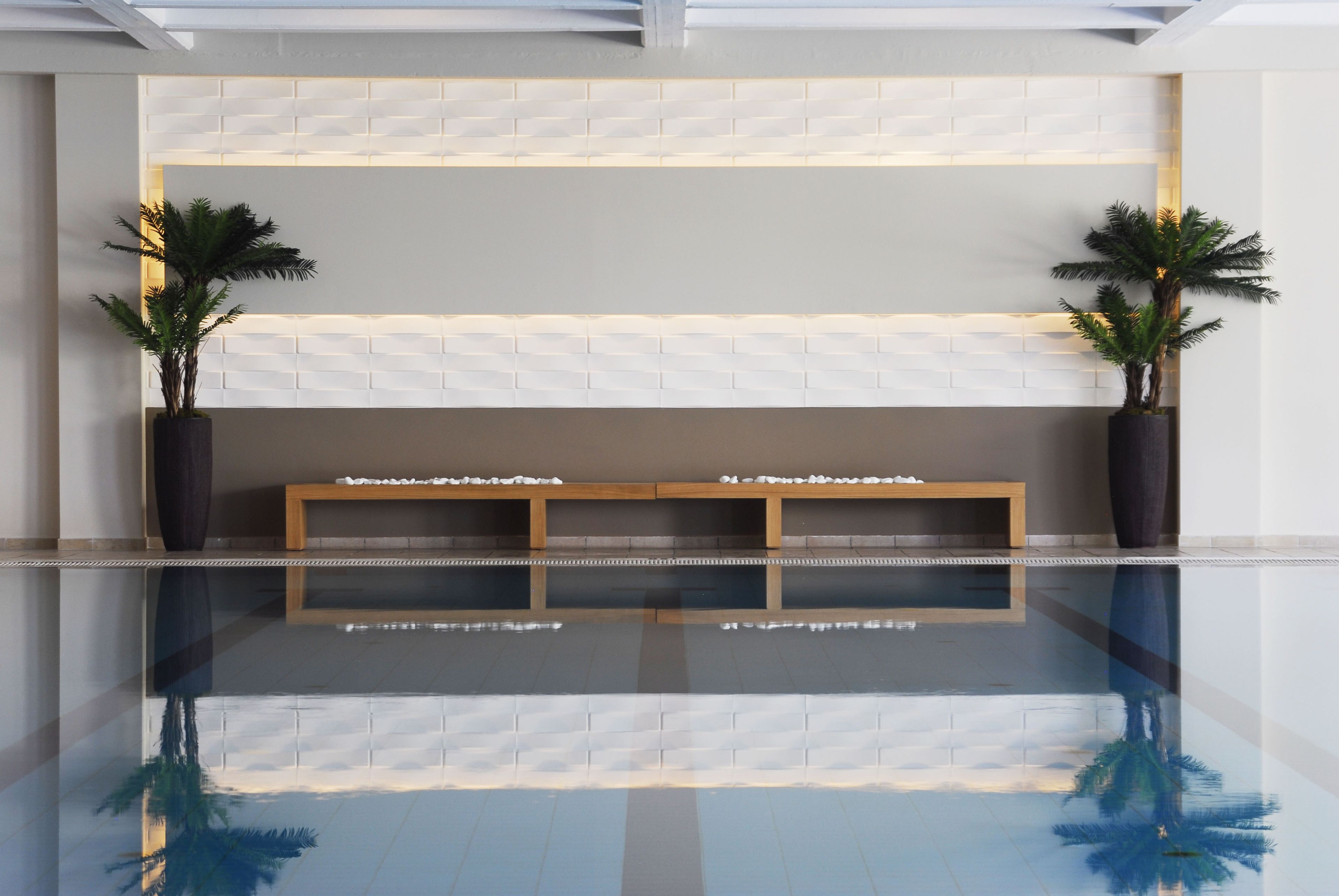A reception area with a reception desk, two potted plants, and a tiled wall with a geometric pattern.