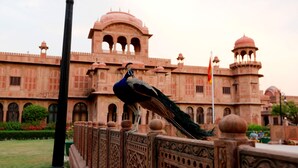 A peacock on a decorative railing in front of a historic building with arches and domes. - The Lallgarh Palace - A Heritage Hotel (Bikaner)