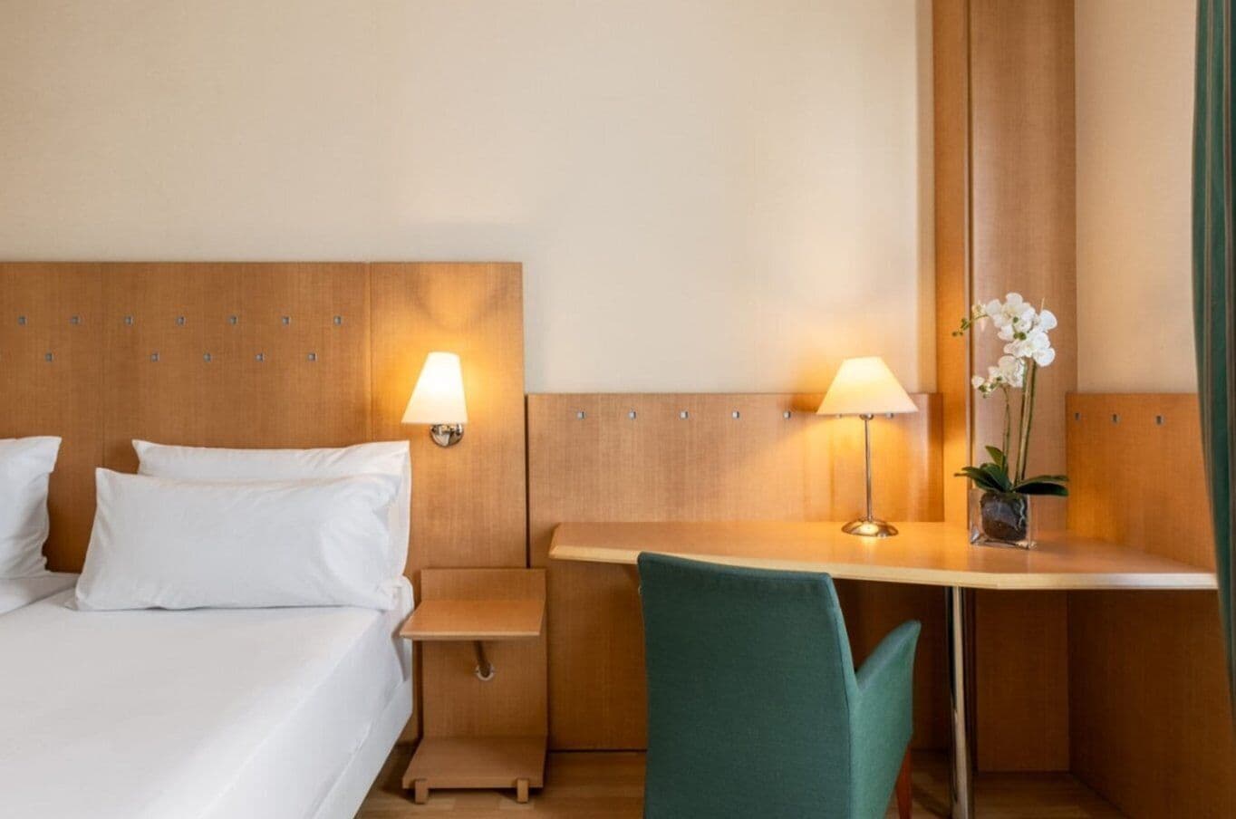 Habitació d'hotel amb un llit, taules de nit, escriptori, cadira i una planta en test.