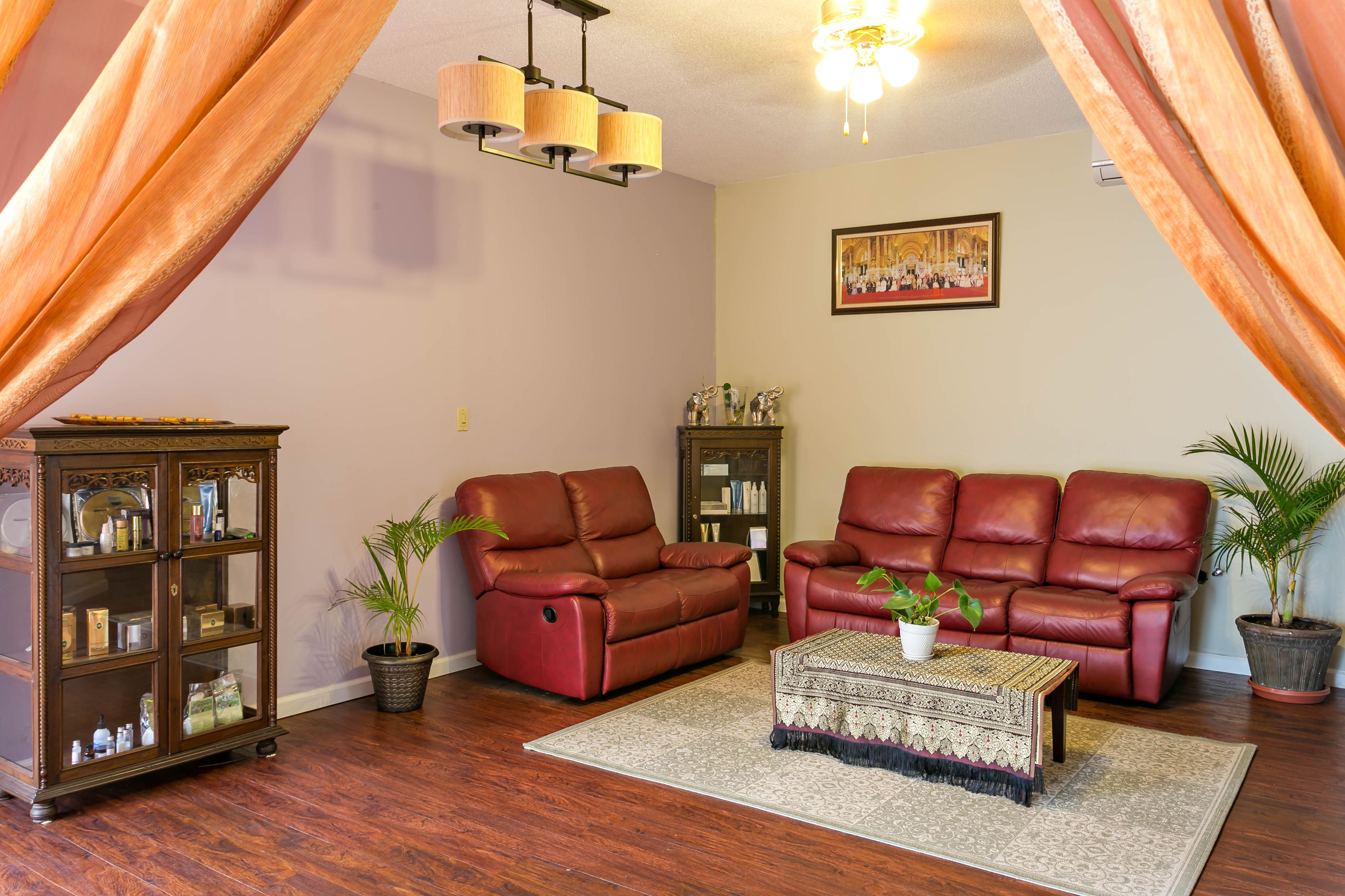 A living room with two leather sofas, a wooden cabinet, a patterned ottoman, and two potted plants.