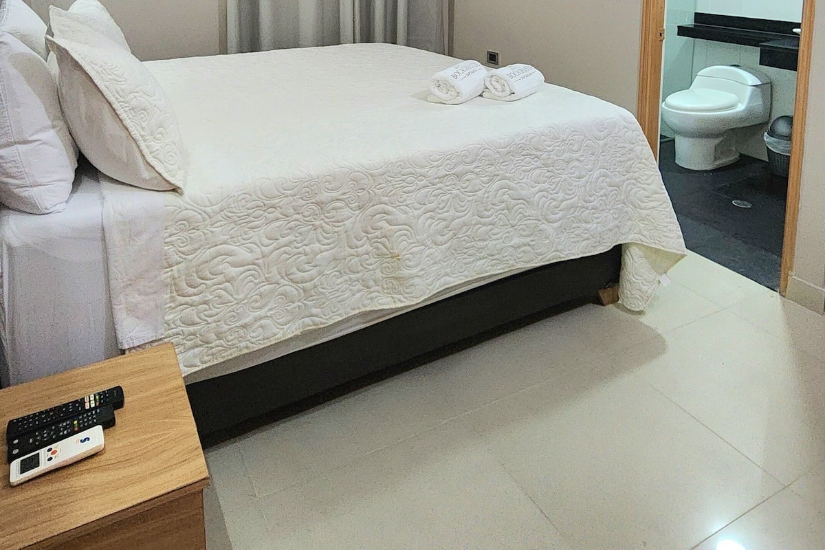 Standard Double Room, 1 Double Bed | Hypo-allergenic bedding, minibar, in-room safe, desk