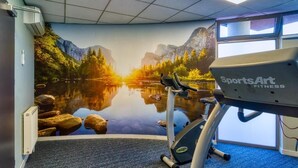A gym with a stationary bike, a wall mural of a serene lake, and a window. - ibis Czestochowa (Czestochowa)